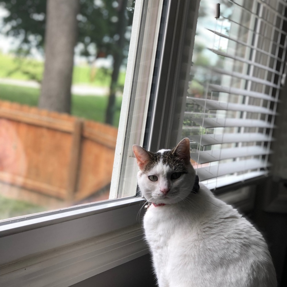 Meet your Posher, Lisa